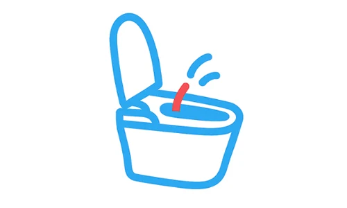 Free Bidet Shower Toilet