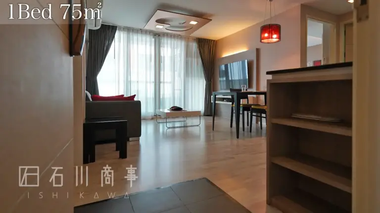 shine 33, 1bed