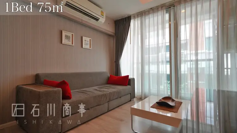 shine 33, 1bed