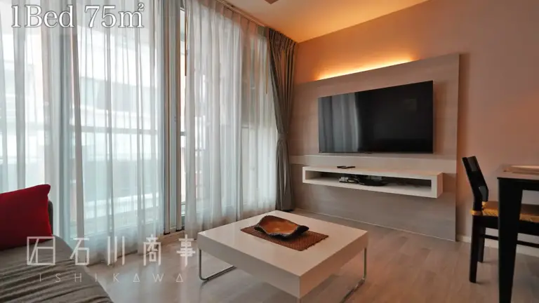shine 33, 1bed